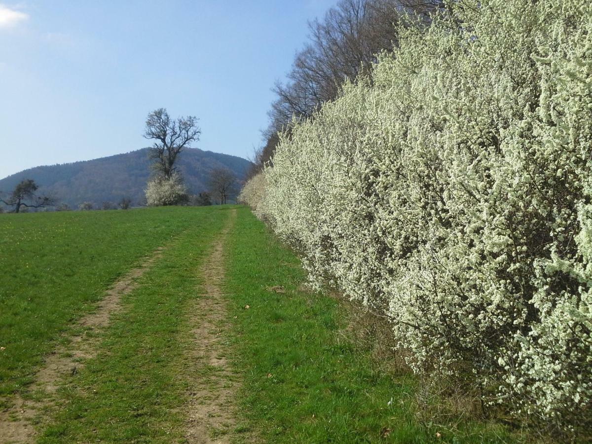 Hébergement de vacances Le Clos Du Haslach